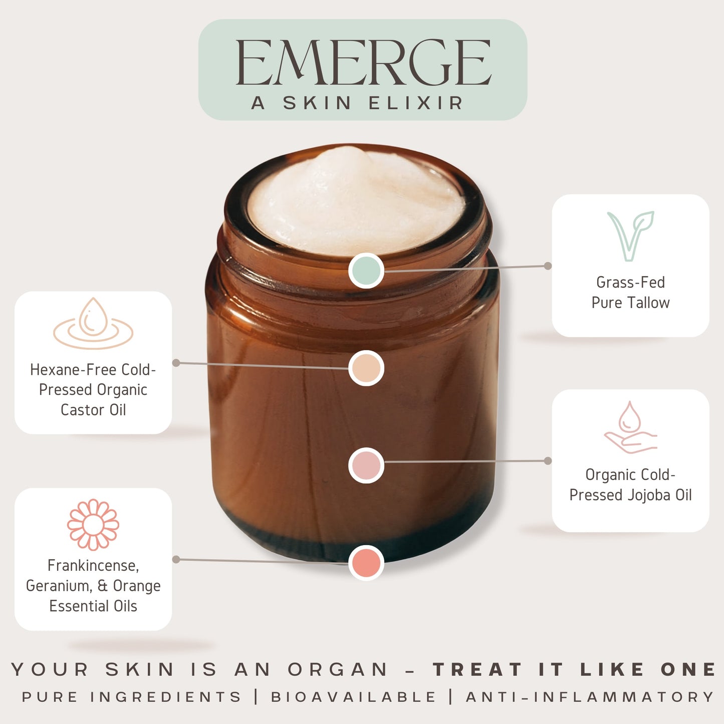 FREE SHIPPING! Emerge for the Ultimate BammingBody